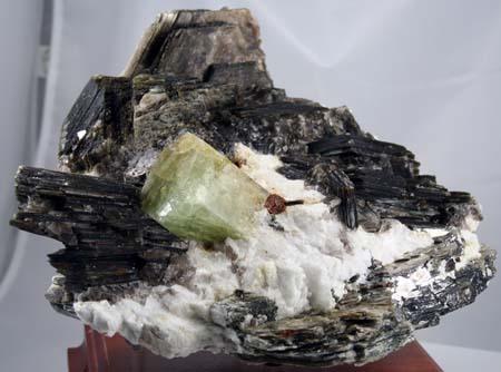 11” X 9” overall. 2.12" X 1.88" tall Heliodor crystal nested into a good grouping of mica crystals. 2009 Tripp Mine 